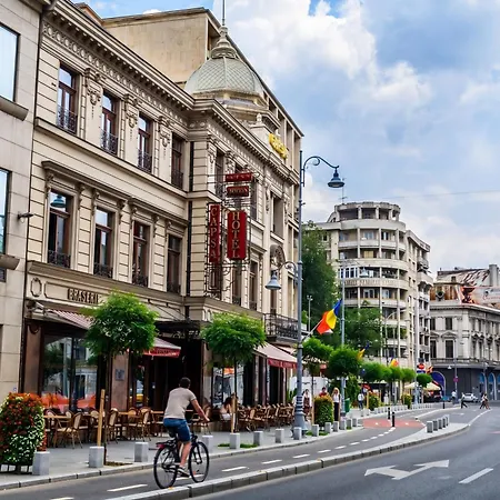 Apartament Out Of The Woods Bucureşti